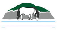 Shallochmill Shetland Ponies